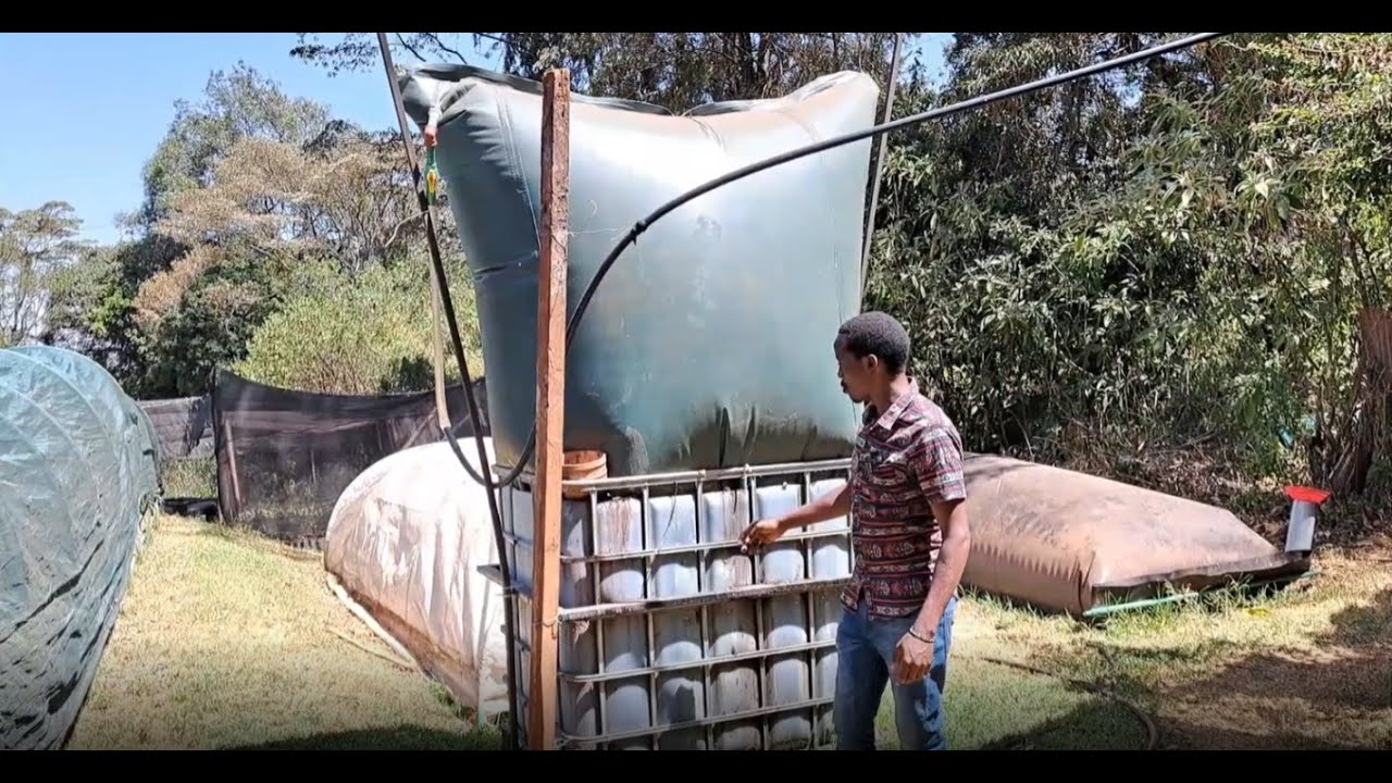 How to generate your own biogas and organic fertiliser from food waste and farm waste.
