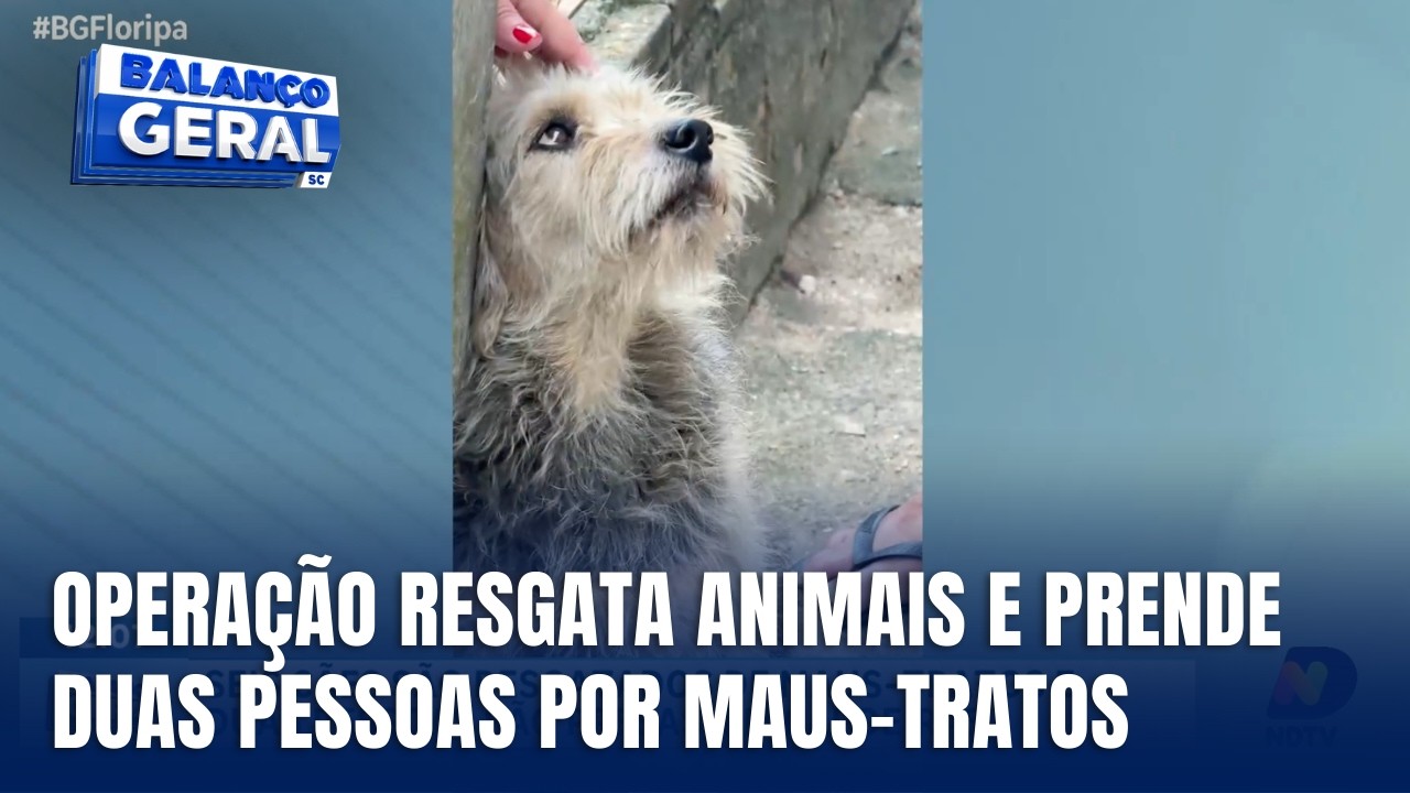 Seis cães são resgatados de maus-tratos e duas pessoas são presas em Capoeiras