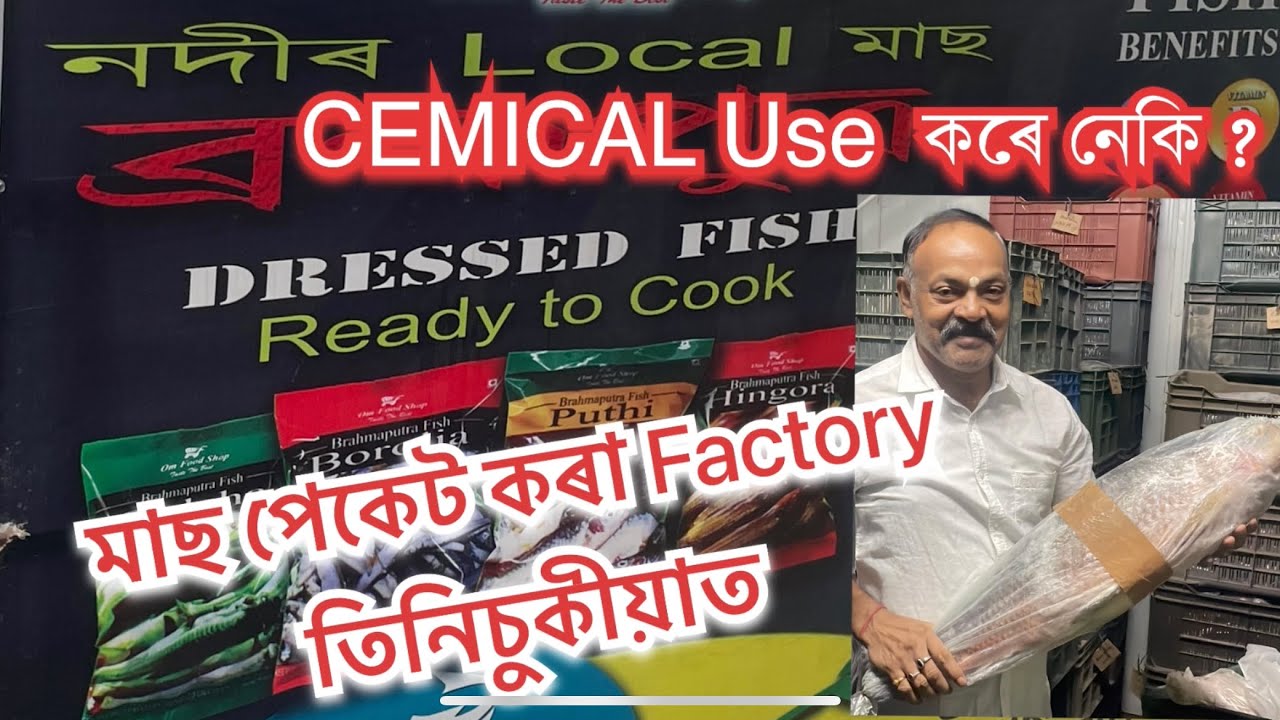 Ready to Eat নদীৰ Local মাছ পেকেটত ৷ Brahmaputra Fish 