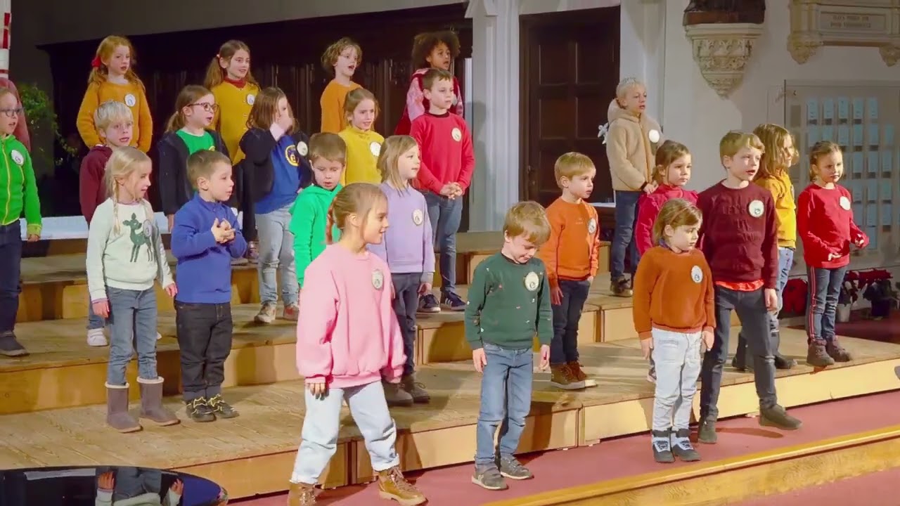 Het pingu&iuml;n kerstfeest - Jan H. Van Damme