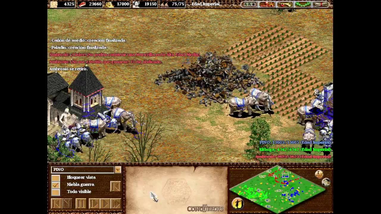 Age Of Empires II Portable Esp