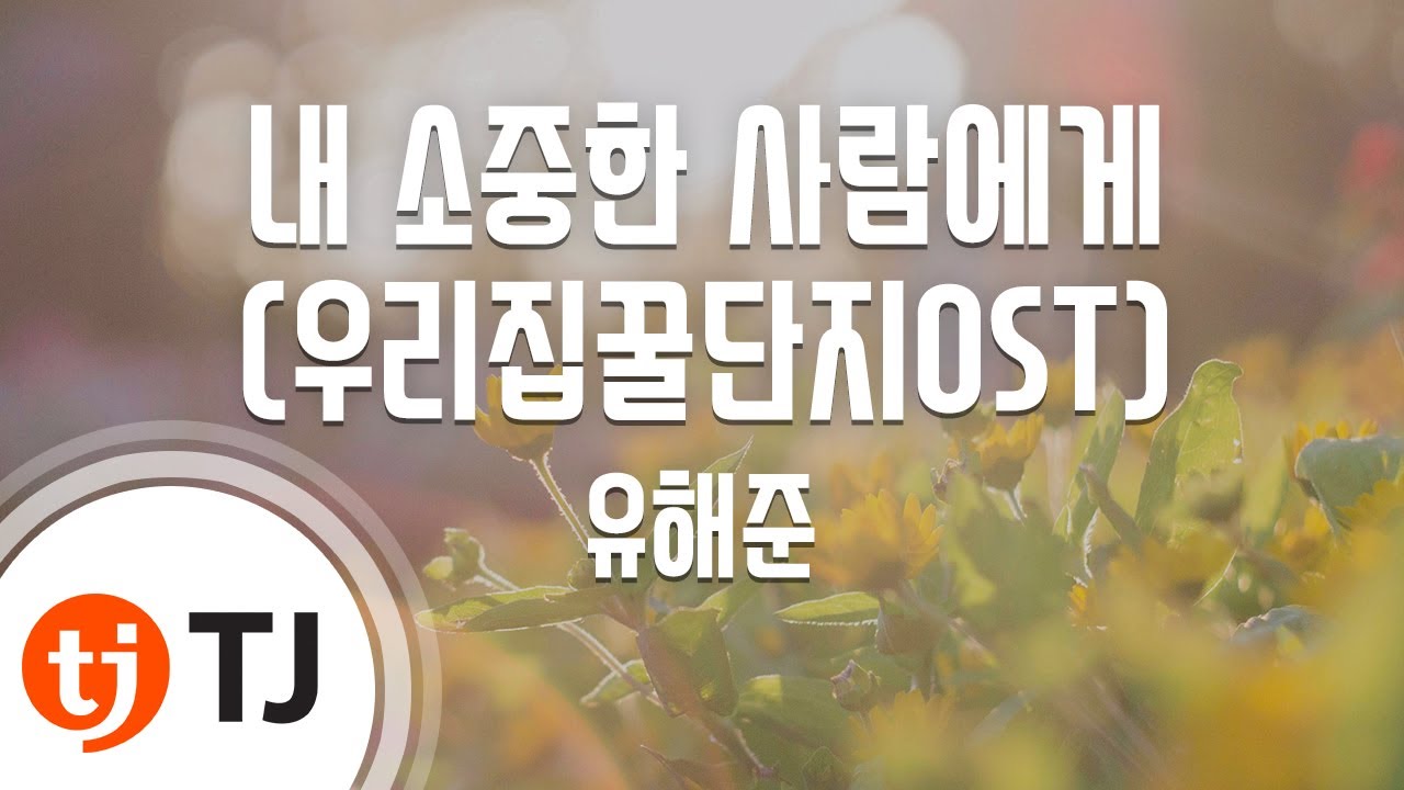 [TJ노래방 / 여자키] 내소중한사람에게 - 유해준 / TJ Karaoke