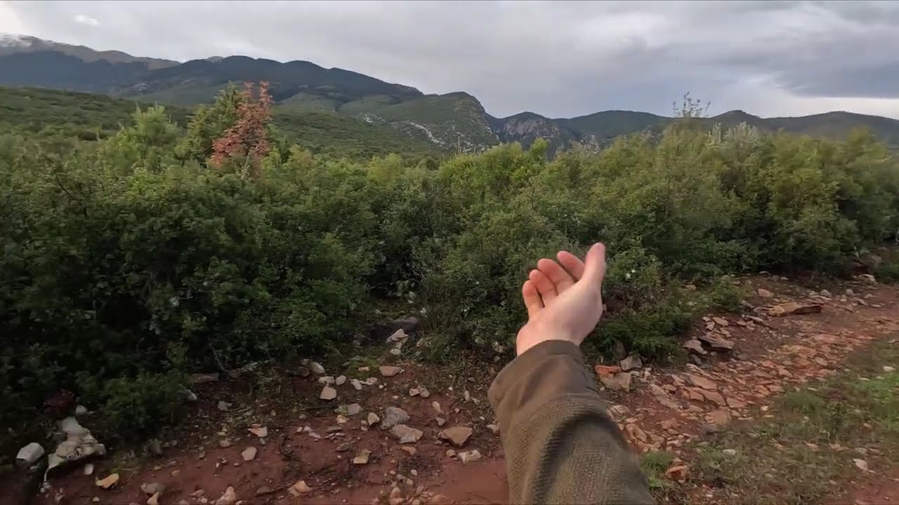 Το λέει η καρδούλα του - Κυνήγι Λαγού /Hare hunting