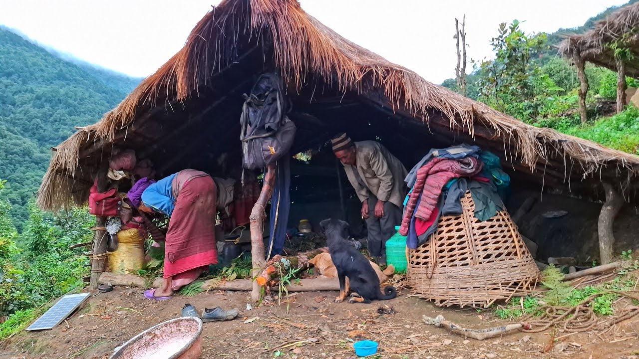 Nepali Mountain village life into the Rainy Season | Daily Activities of Rural village life in Nepal