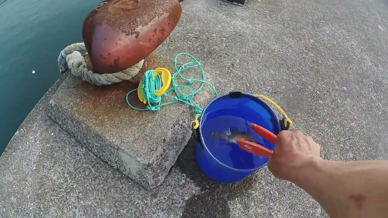 際釣り　2025　7月上旬