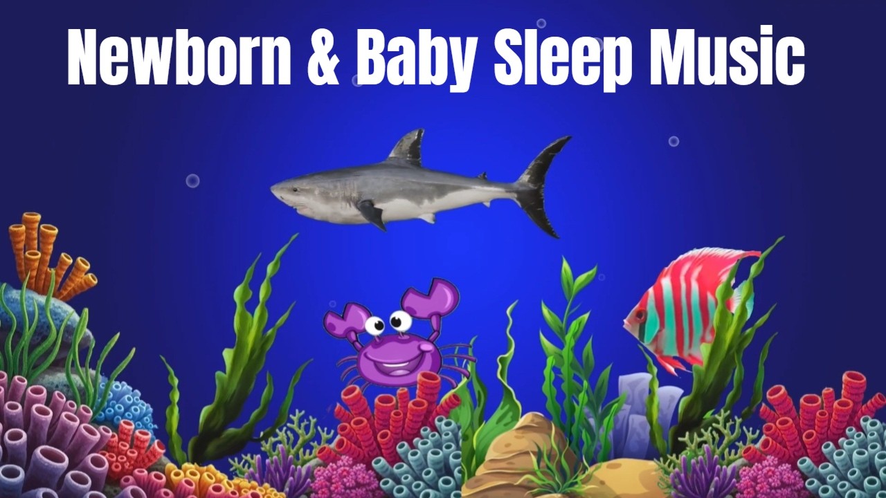 Newborn & Baby Sleep Music 🌙 Mozart & Brahms Lullabies | Fall Asleep Fast. #BabySleepMusic