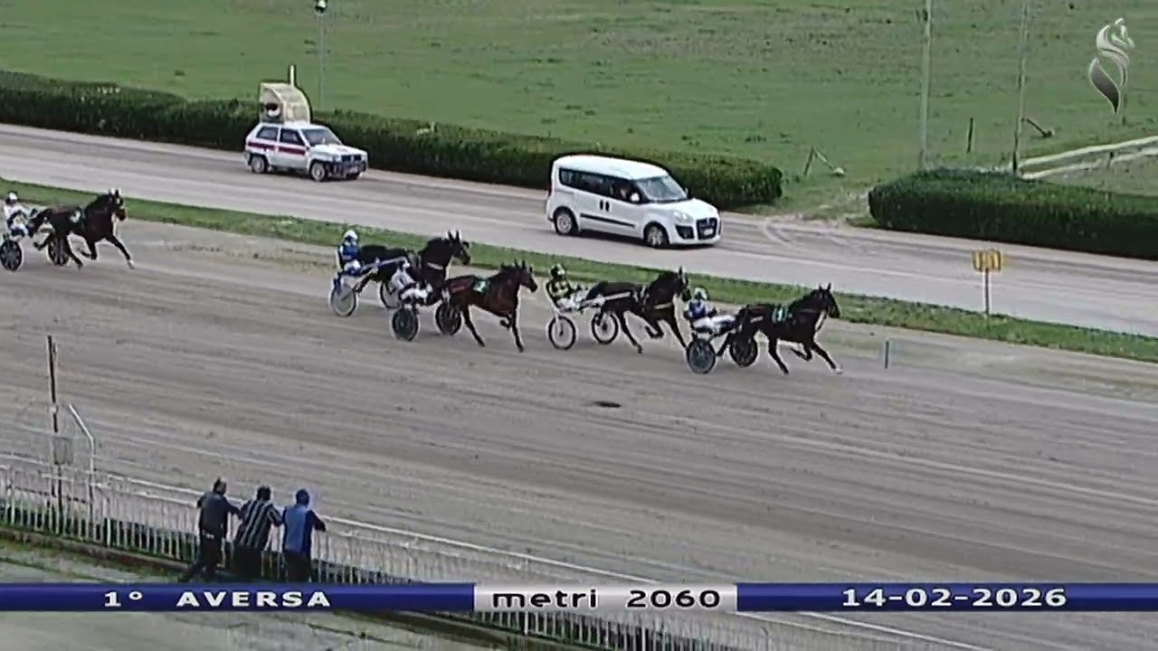 Aversa trotto 14 Febbraio 2026 - 1° Corsa