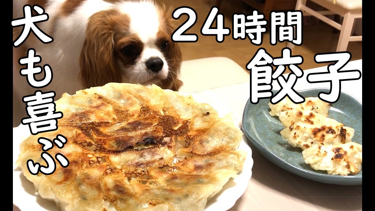 キャバリア犬 餃子は丸呑みするものだと思ってんの？