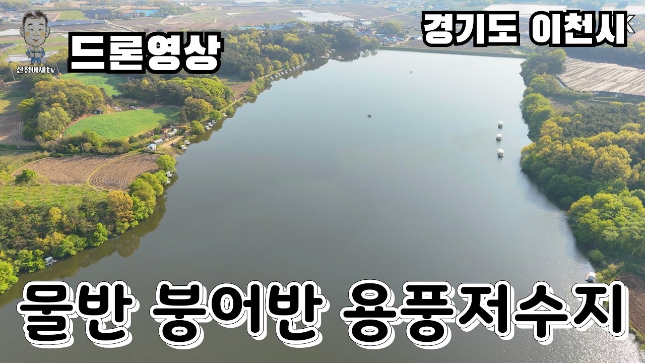 물반 붕어반 용풍저수지 - 붕어낚시 / 노지낚시 / 전층낚시 / 내림낚시 / 민물낚시 / へらぶな / crucian carp /carp fishing