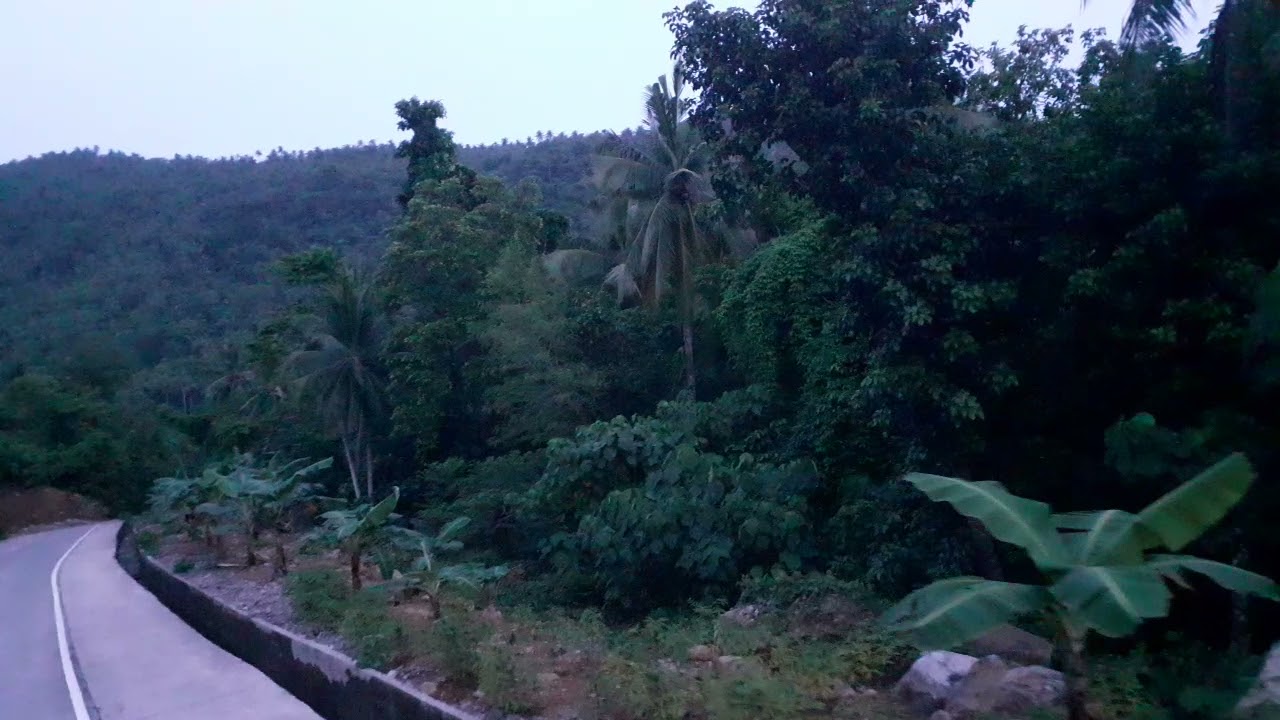Bulan-Matnog Road