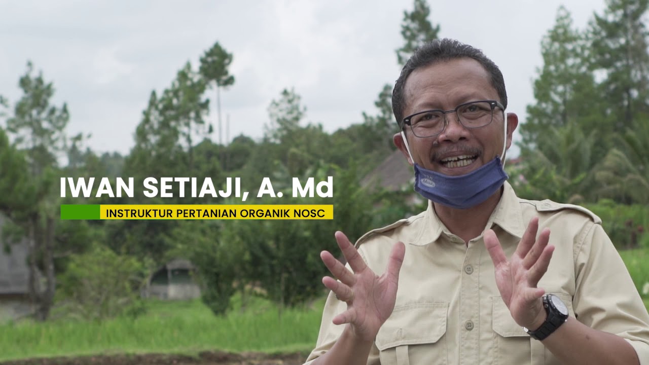 TEKNIK PENGAIRAN BERKALA INTERMITTENT