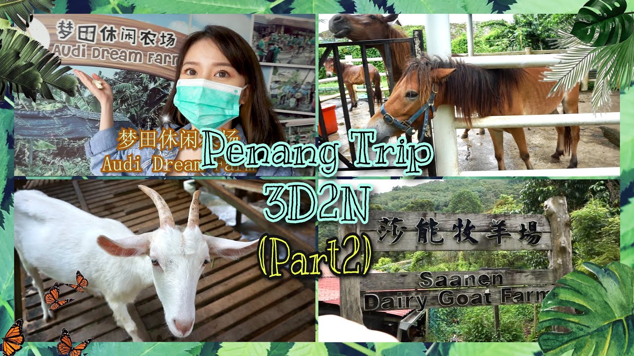 槟城游玩 Penang Trip 3D2N (PART 2) | Balik Pulau一日游 | 梦田休闲农场 | 莎能牧羊场 | 燕窝蛋挞 | Shaun The Sheep真人版🐐？太可爱了！