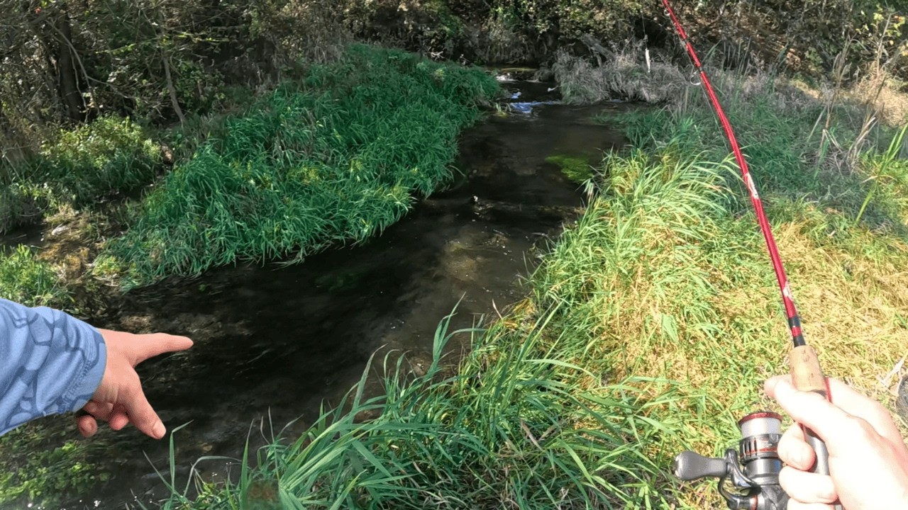 Non Stop Action in this TINY Creek!