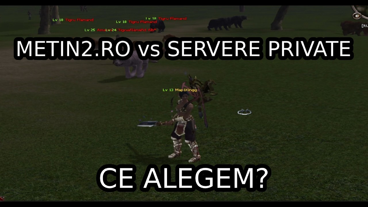 METIN2.RO vs PRIVATE | CE SA ALEGI? REVIEW SINCER