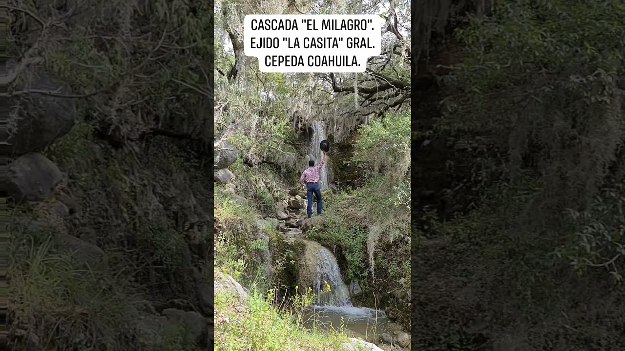 Cascada "el Milagro" en el ejido "la Casita" mcpio. de Gral. Cepeda: maravilla oculta en el bosque