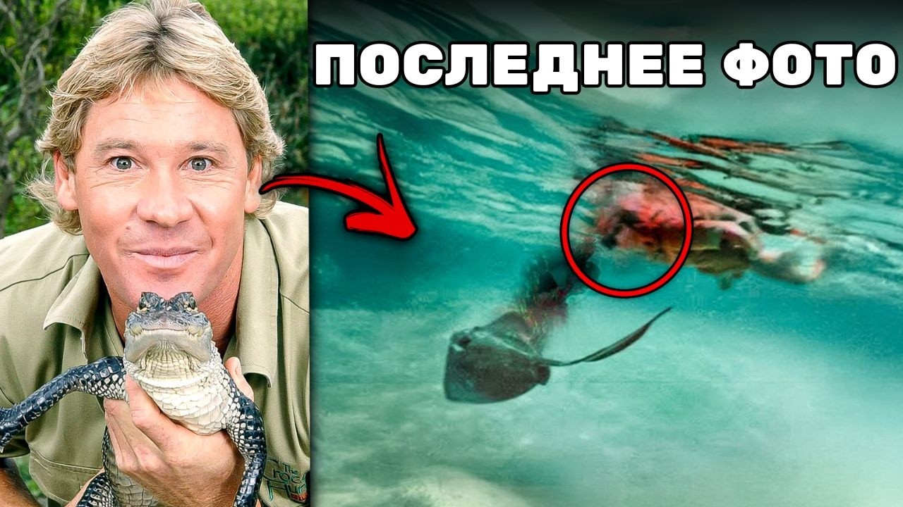 5 Самых УЖАСАЮЩИХ Смертей Знаменитостей Убитых Животными...