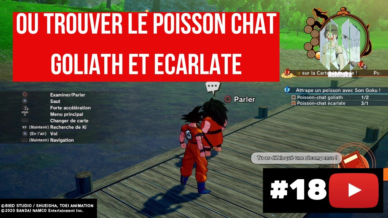 TUTO-COMMENT TROUVER LE POISSON CHAT GOLIATH ET LE POISSON ECARLATE DANS DRAGON BALL Z KAKAROT  FR