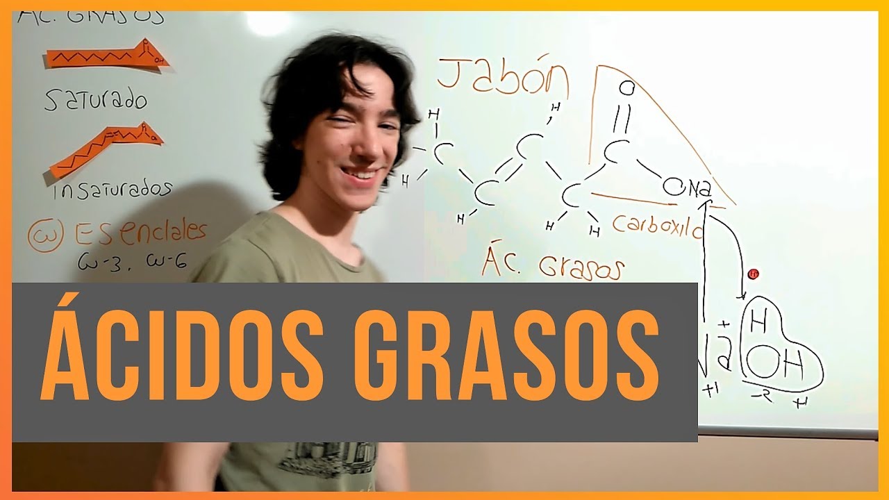 Ácidos Grasos