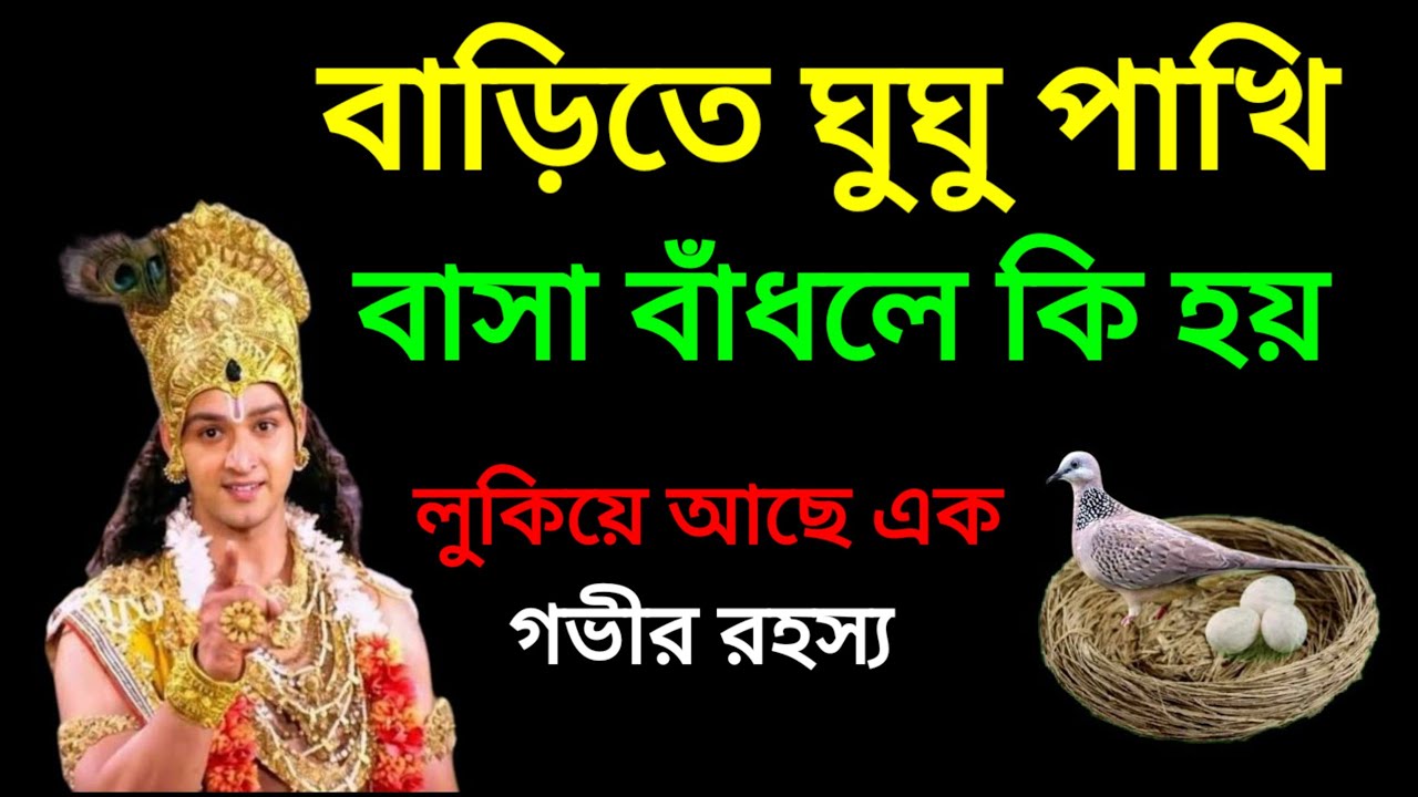 বাড়িতে ঘুঘু পাখি বাসা বাঁধলে শুভ না অশুভ? | অমৃত কথা