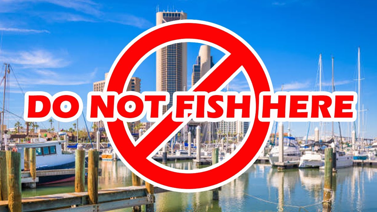 4 Overrated Places To Fish In Corpus Christi, Texas. #fish #overrated