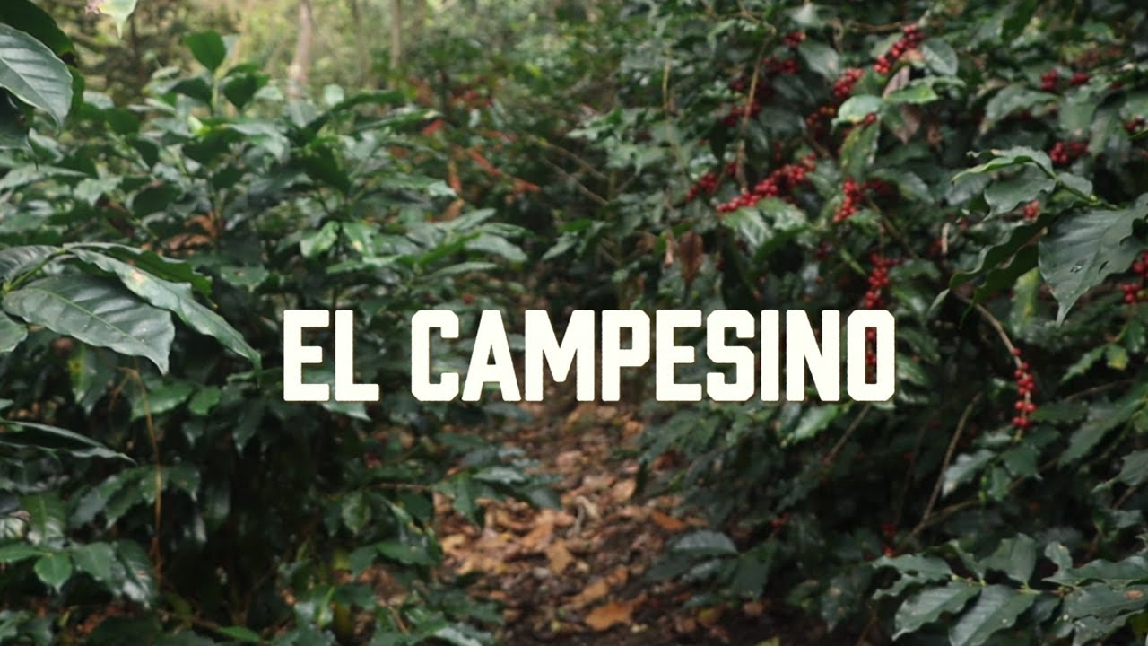 El Campesino. Los Carnales. Dany Morales. Edmundo Mendoza. Eugenio Pedro
