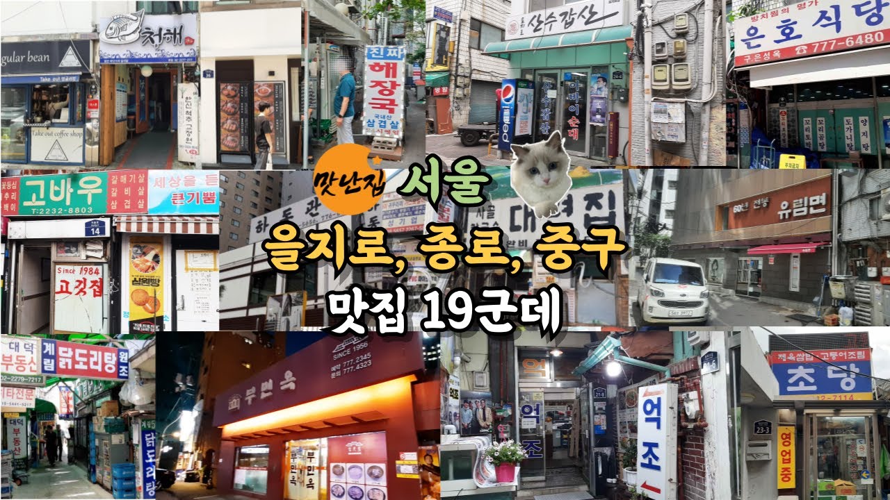 서울 을지로, 종로, 중구 맛집 19군데입니다#서울맛집 #을지로맛집 #종로맛집 #중구맛집