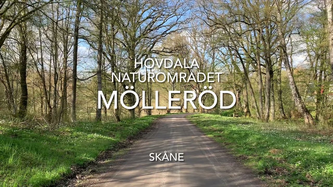 Mölleröd, Hovdala Naturområdet, Finja - Skåne Sweden