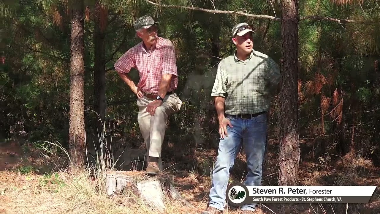 Making Money from Growing Trees