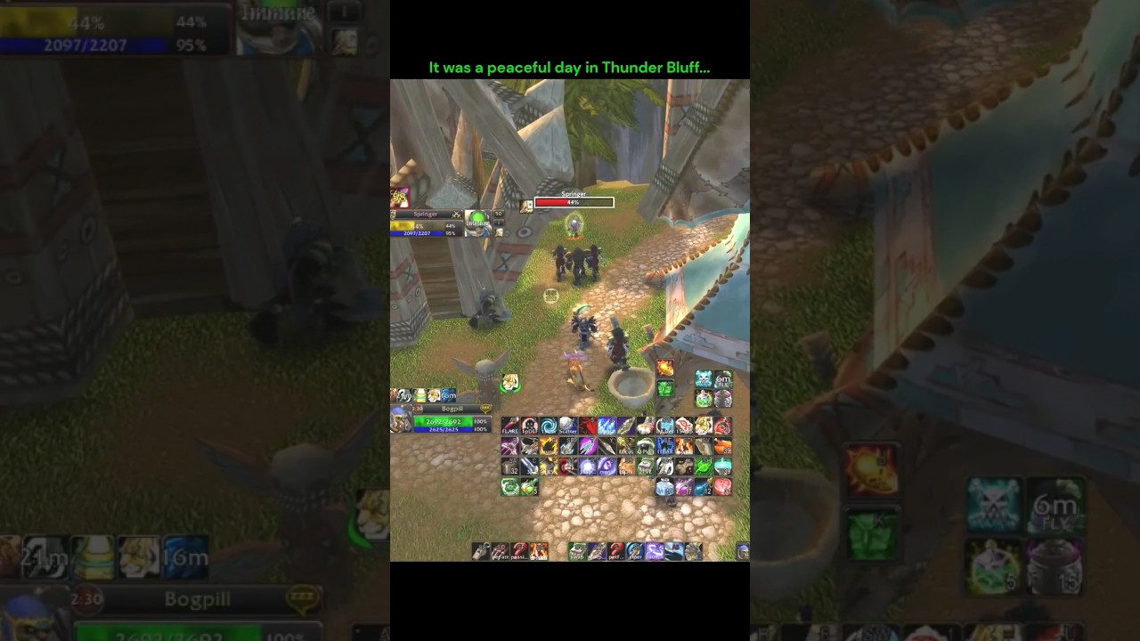 Hunter follows Paladin out of Thunder Bluff then gets ATTACKED!