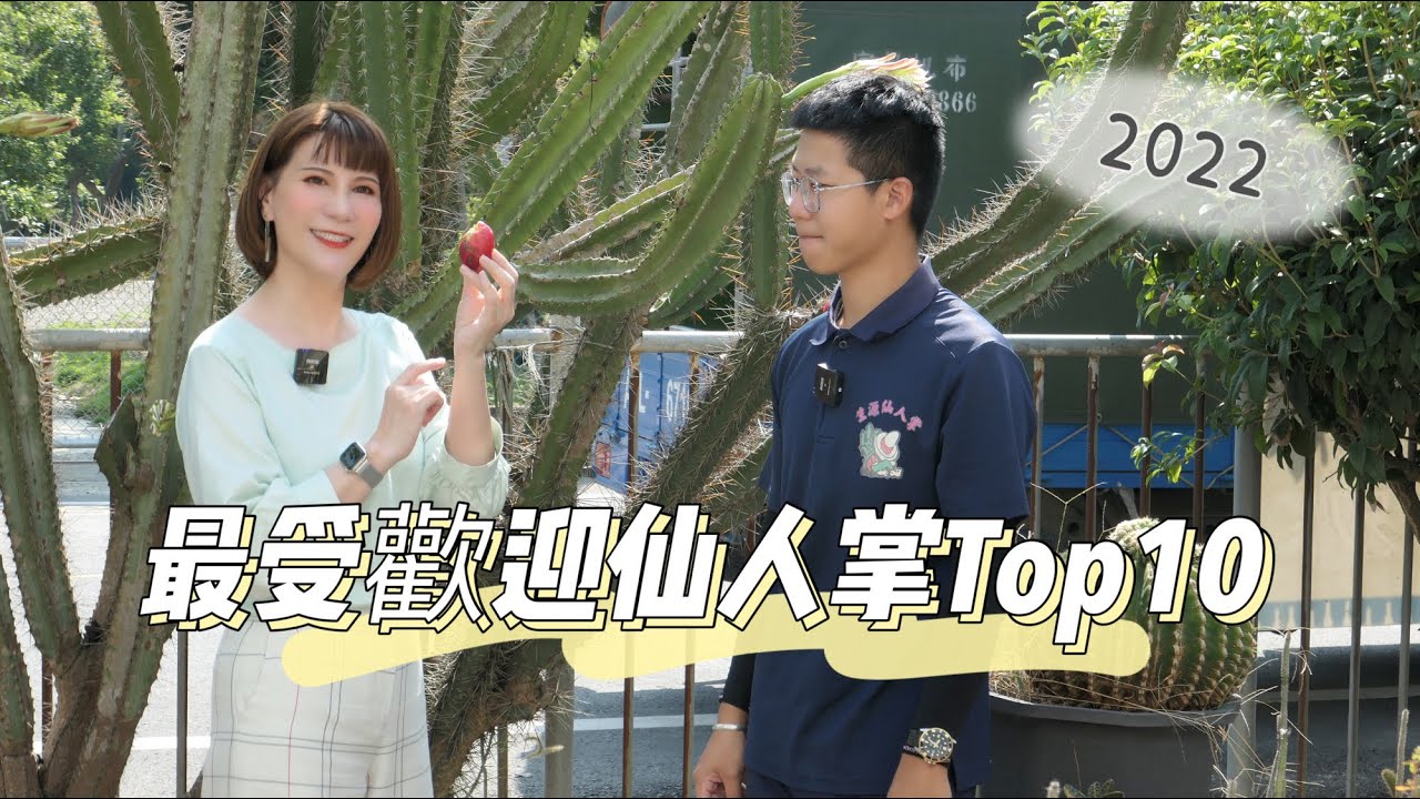 2022最受歡迎多肉植物~仙人掌Top10［翡歐娜視記］ep.87#仙人掌照顧#特殊仙人掌#多肉植物