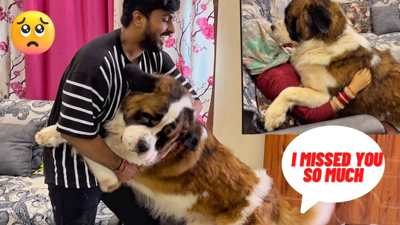 Tyzuu welcomes bhaiya and bhabhi after 10days | Cutest video you’ll ever see ❤️