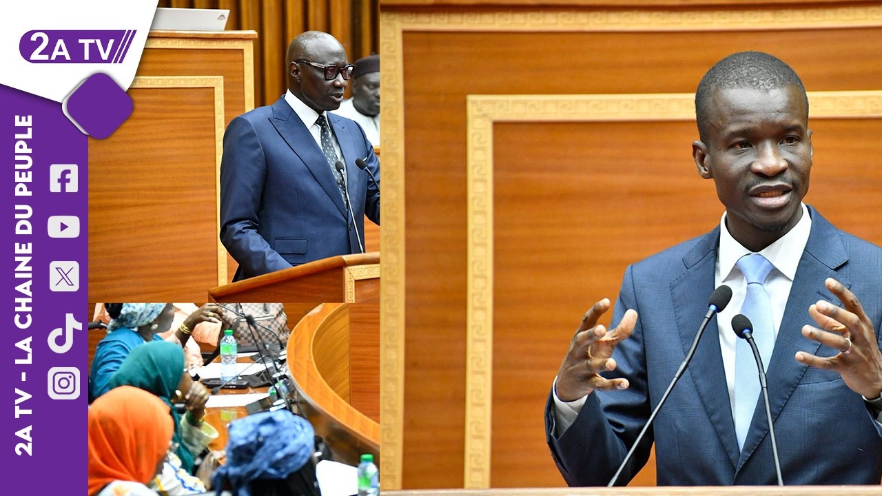 Assemblée Nationale :  Projet De Loi N°03/2026 Relatif Aux Activités De Sécurité Privée