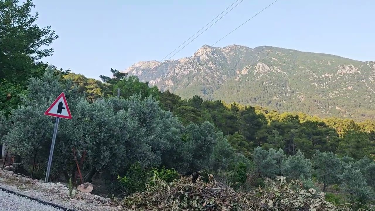 Fethiye Seydikemer Söğütlü Derede taşdelen alilesi çiftliği 