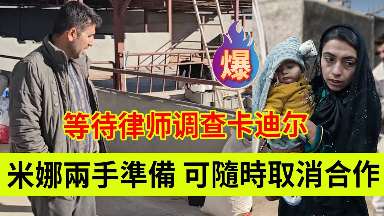 米娜两手准备，可随时取消合作。等待律师调查卡迪尔。伊朗女人米娜纪录片最新后续