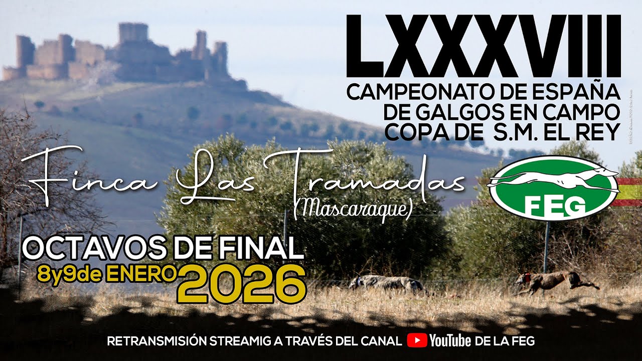 Primera Jornada   Octavos  LXXXVIII  Campeonato de Espa&ntilde;a Galgos en Campo     COPA DE S,M, EL REY