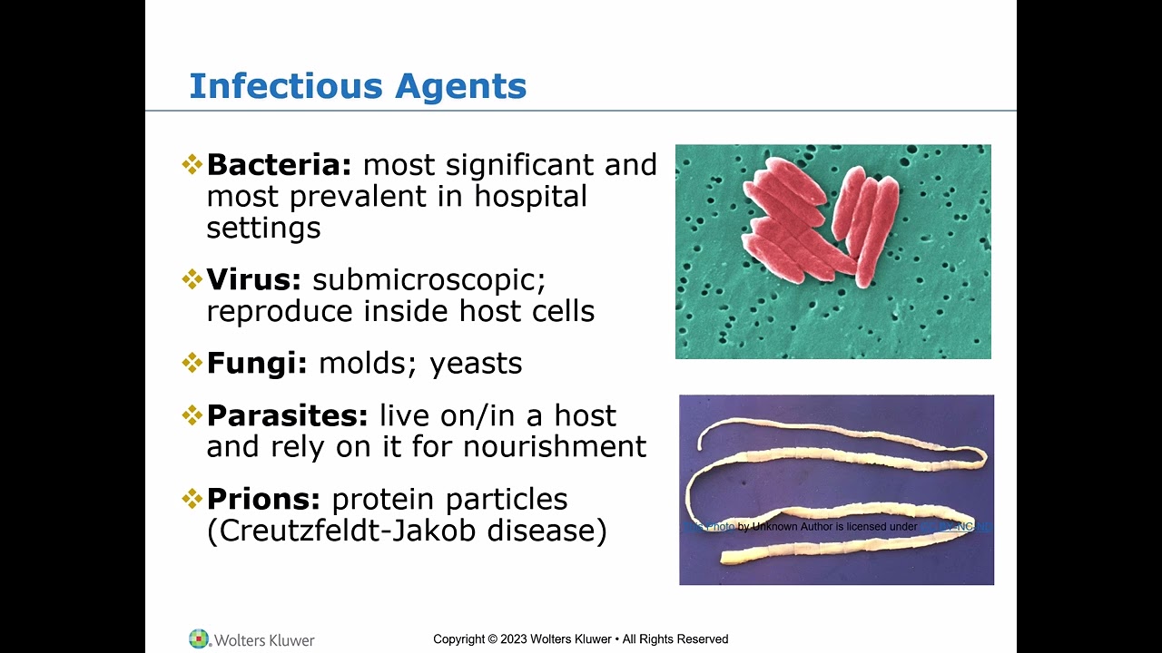 Chapter 25   Asepsis and Infection Control