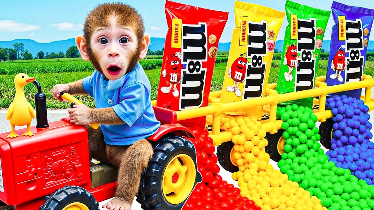 BiBi Monkey and the little cat go to the park and make watermelon ice cream | Baby Monkey Daily
