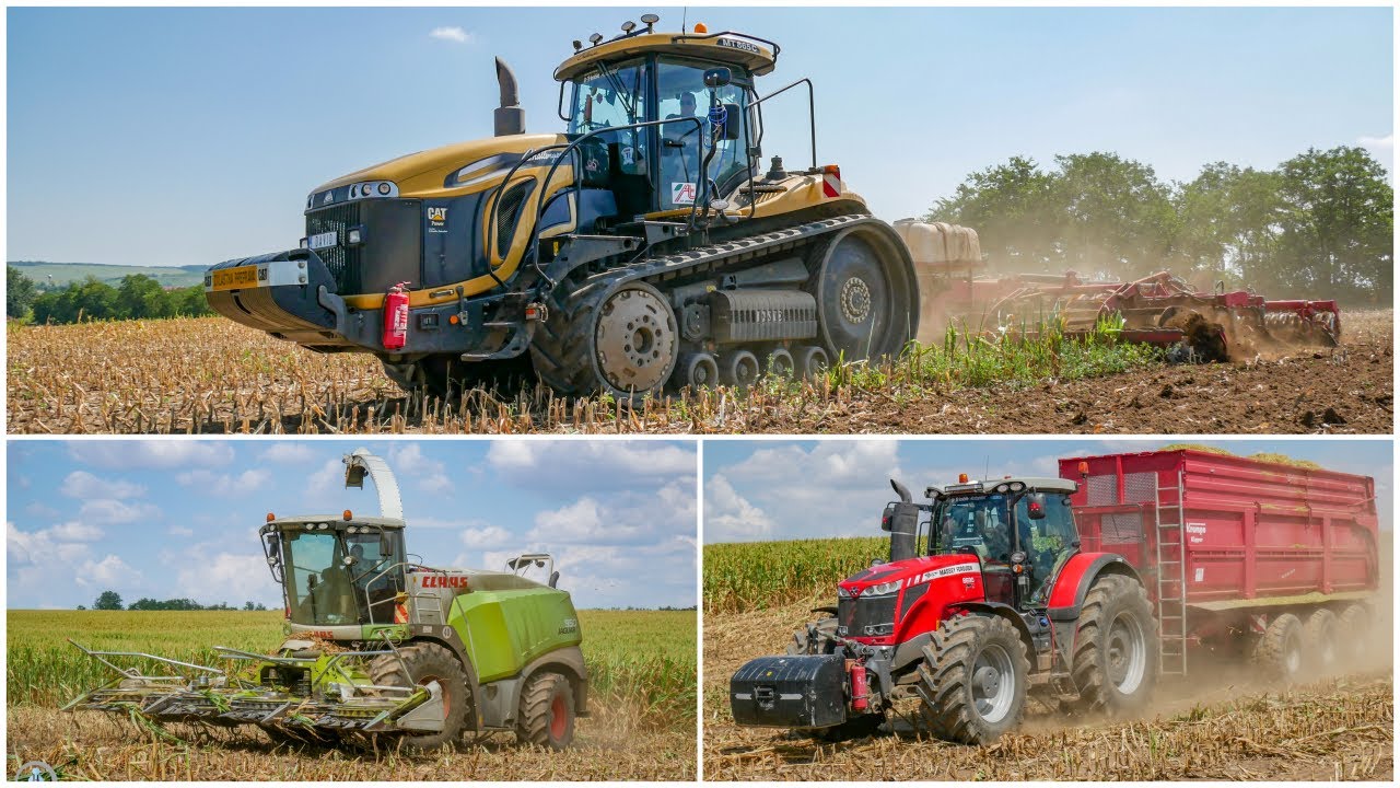 🌽2022 - 3x MASSEY FERGUSON, 4x CHALLENGER, CLAAS Jaguar 950 - Siláže v AT Dunaj Dubník