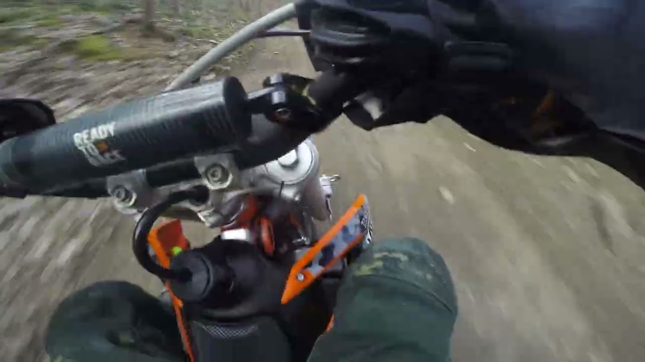 MSXC RD8 BACKWOODS