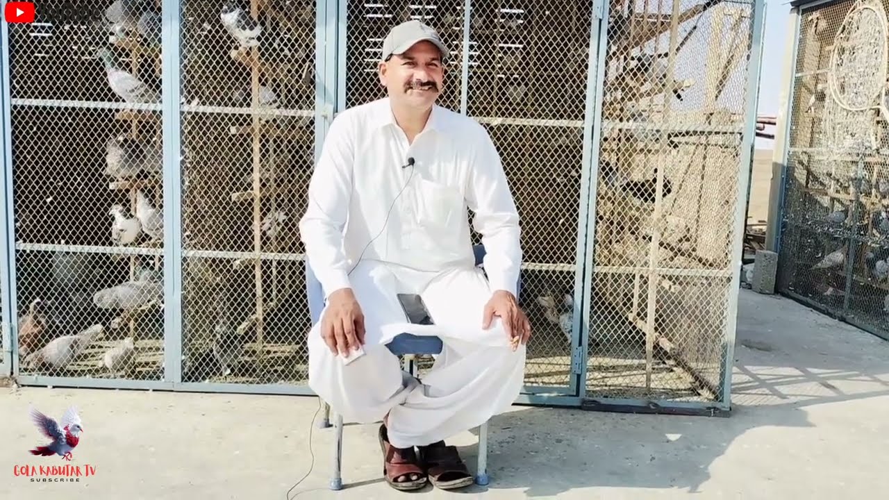 Abid Khalifa New Gola Kabutar Ki Training