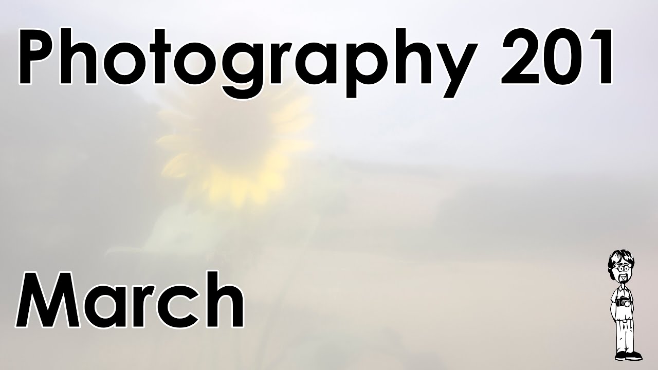 Photography 201: Pictorialism