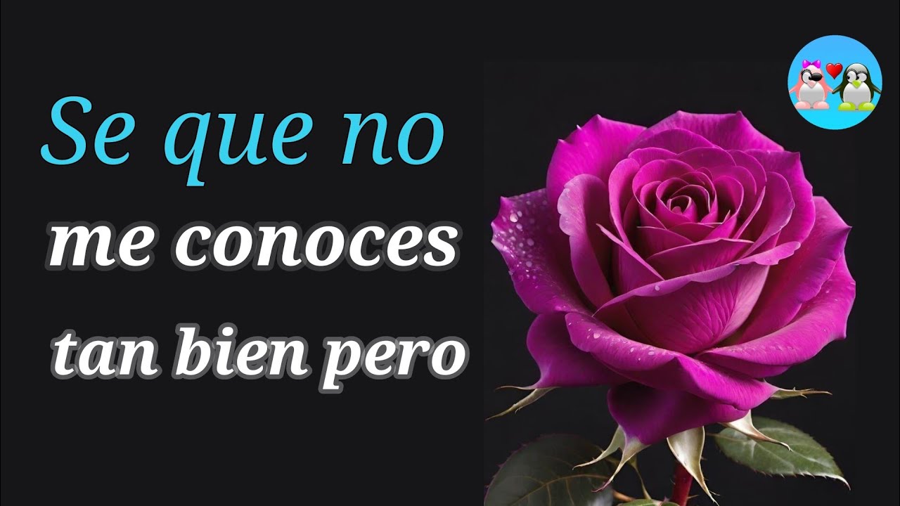 Tengo algo que CONFESARTE