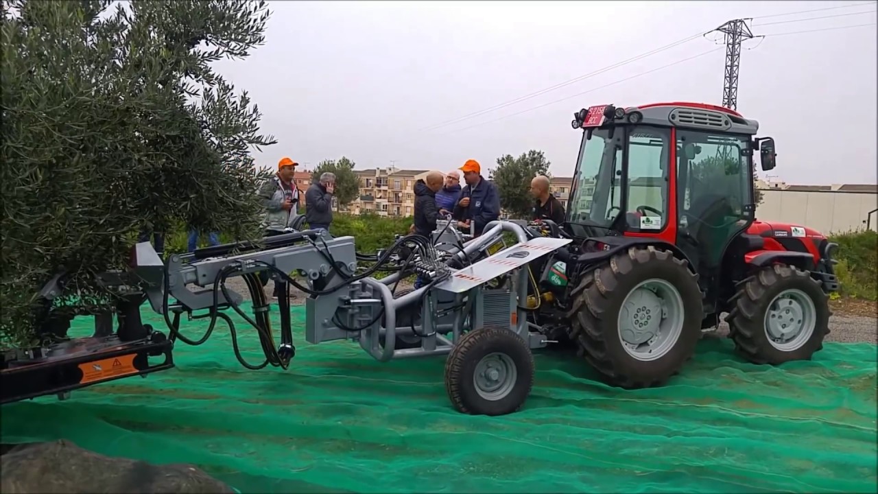 Agromelca - Recolección de aceitunas 2018 con equipo recolector trasero VTL de Agromelca