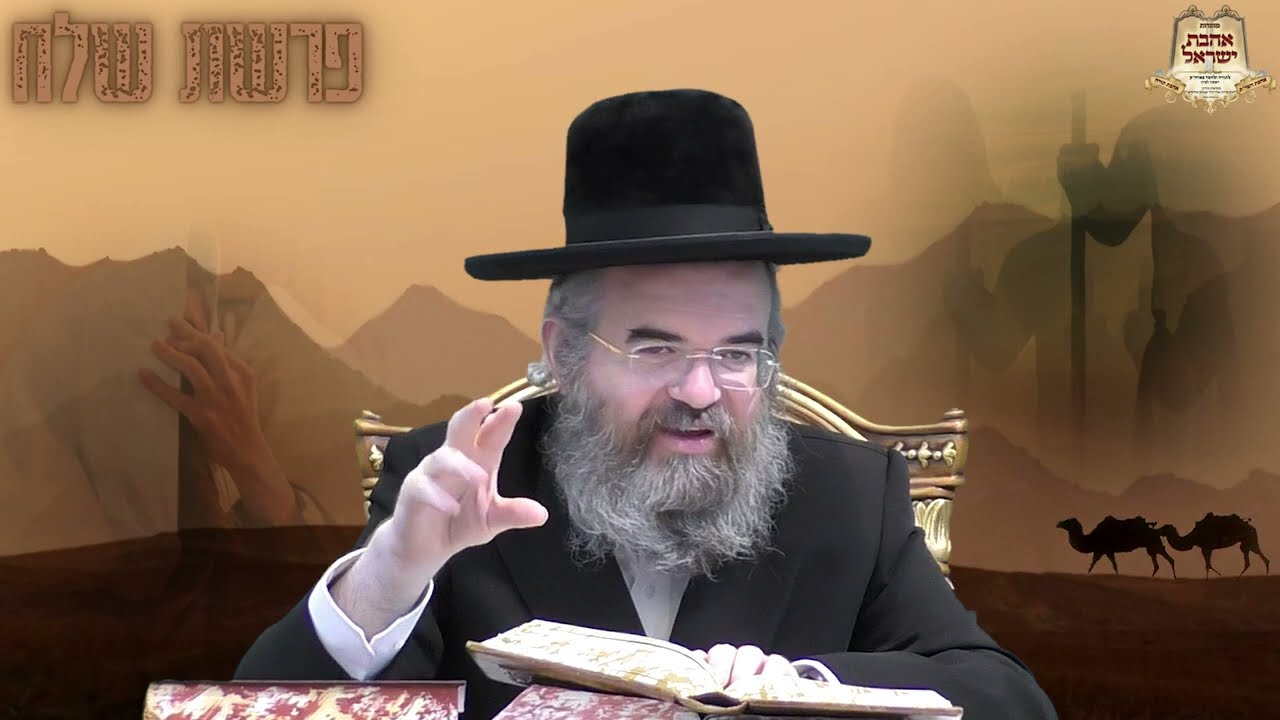 הרב מרדכי הלוי אנגלמן : כבוד שבת ומלווה מלכה | מצוות ציצית | אתה מרגל או תייר ?
