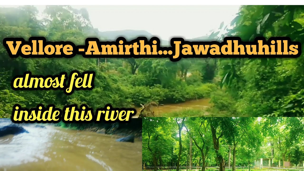 Vellore   Amirthi Zoo