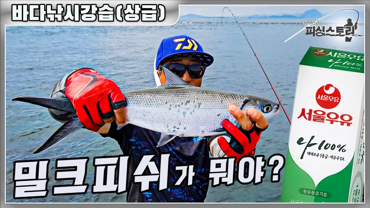 밀크피쉬가 뭐야? 본류대찾는법 및 지류공략법 3부 #마라도쌍퉁찬여