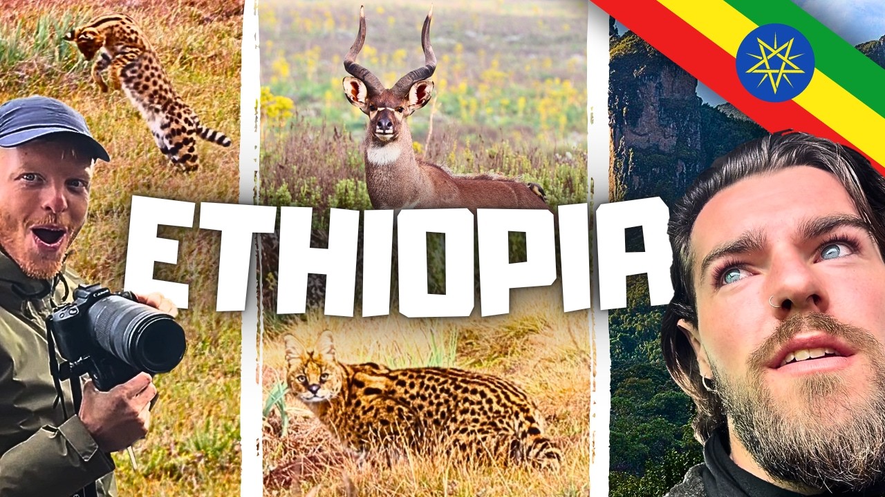 We Went to Ethiopia for Wildlife &mdash; But Didn't Expect This