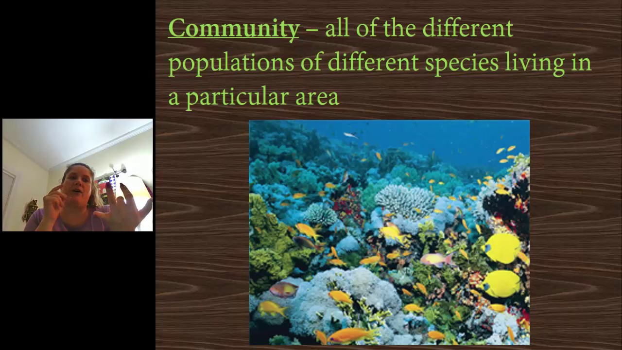 Intro to Ecology Notes Video