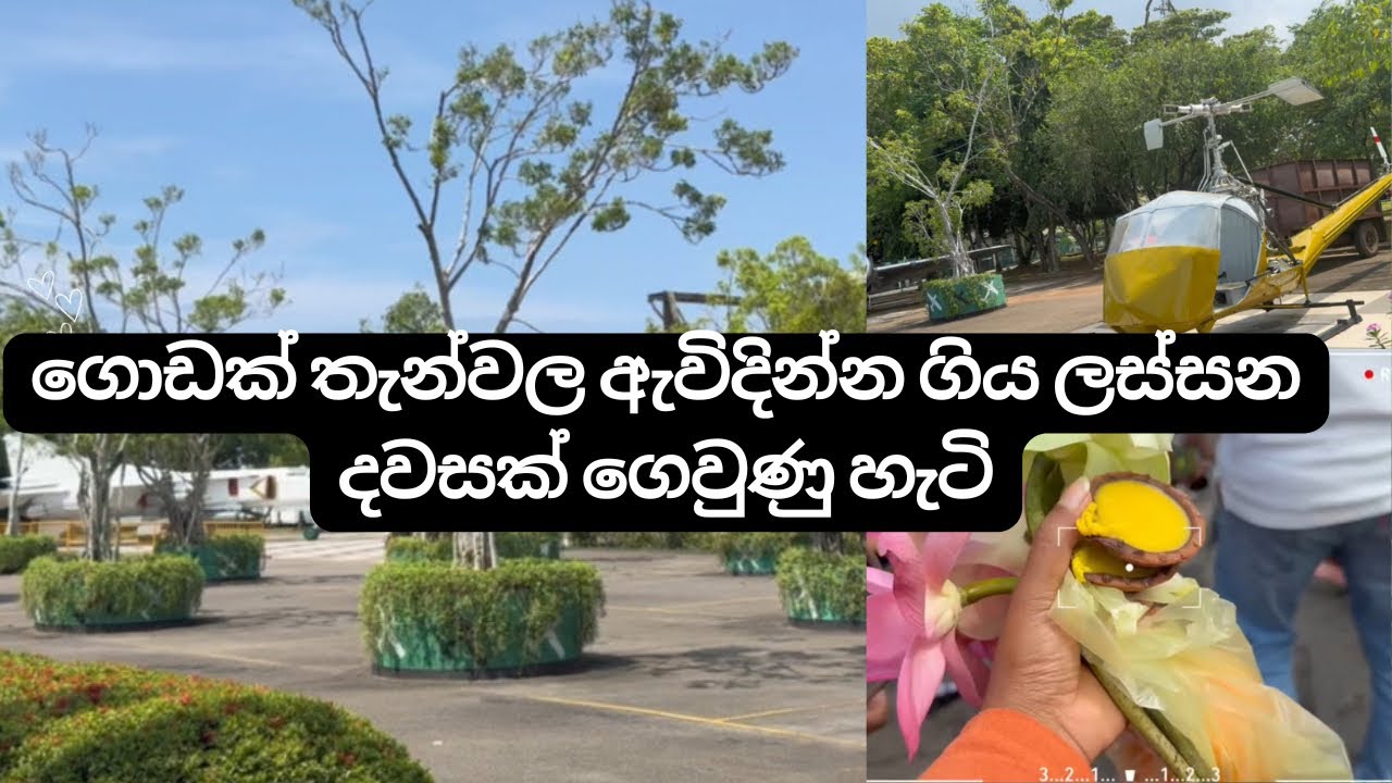 ගොඩක් තැන්වල ඇවිද්දා🚶‍♀️☘️| zoo එකට ගියා | airforce museum එකටත් ගියා | Family trip #viralvideo 