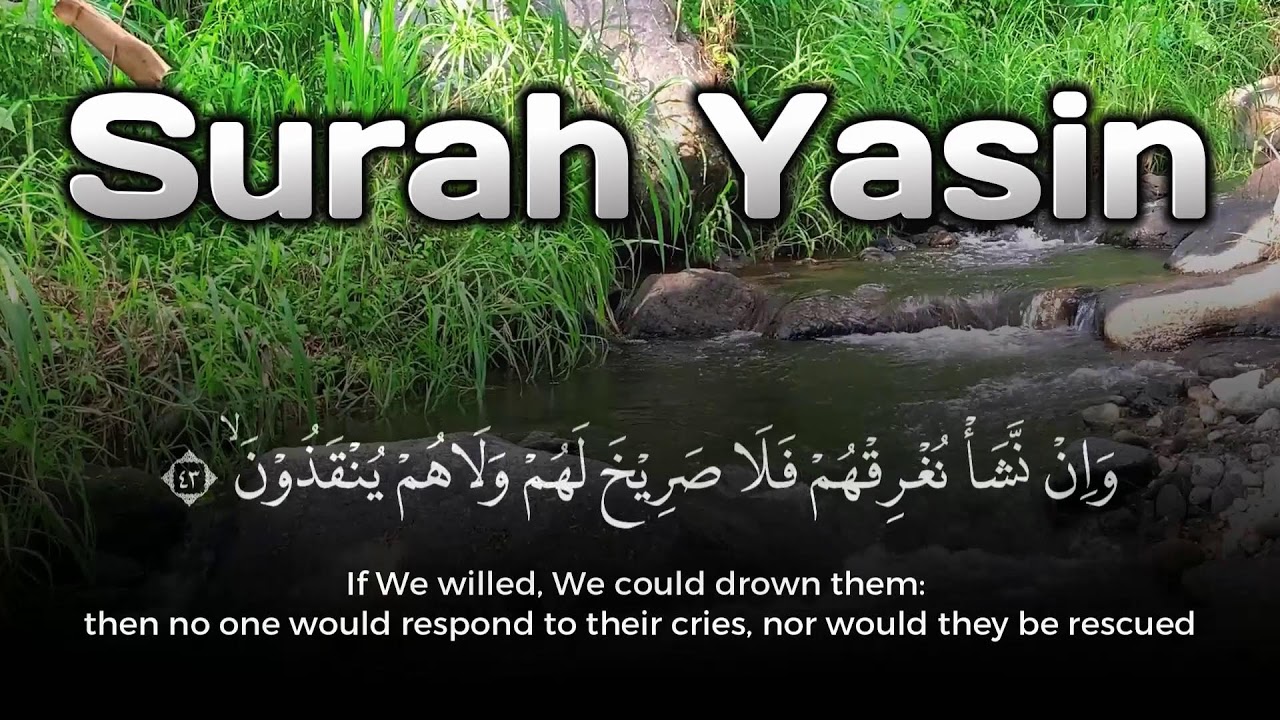 Surah Yasin Beautiful Quran Recitation Ramadan Sahur - Miracle Success